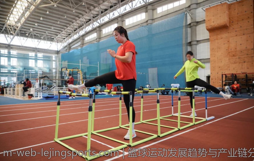 篮球运动发展趋势与产业链分析